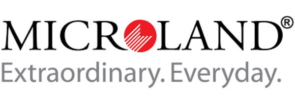 Ethical Hacking Corporate Training