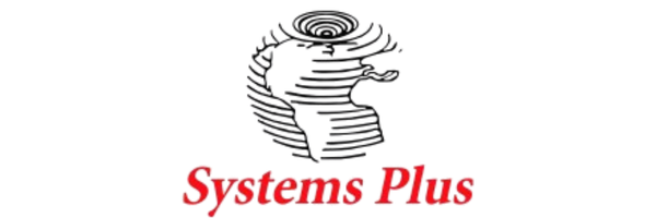 Global IT Consulting Client