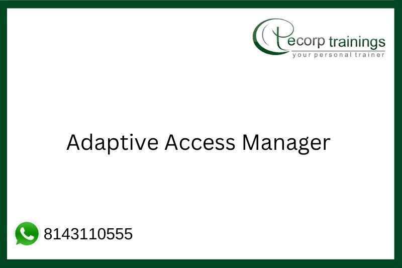 Adaptive Access Manager Job Support