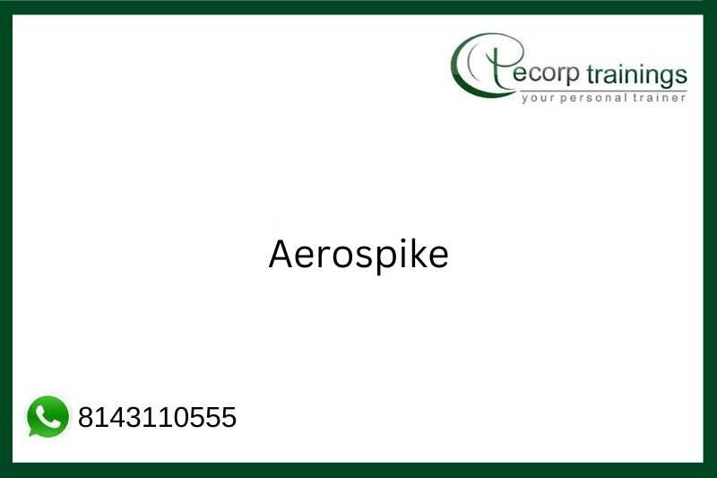 Aerospike Job Support