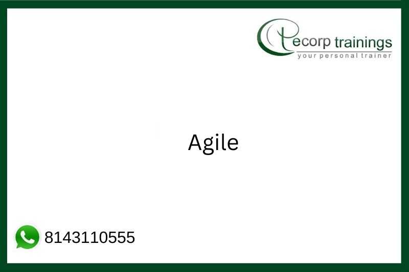 Agile Job Support