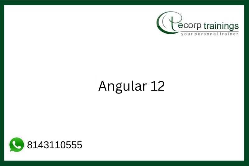 Angular 12 Job Support