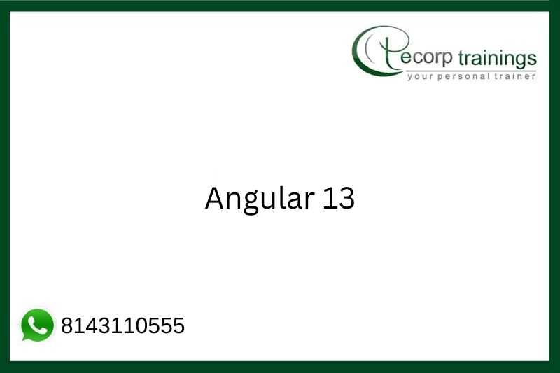 Angular 13 Job Support