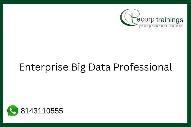 Enterprise Big Data Professional Job Support