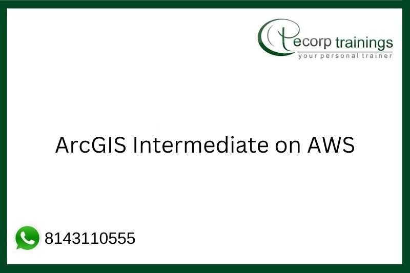 ArcGIS Intermediate on AWS Job Support