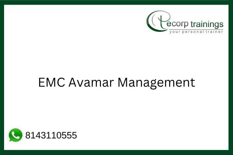 EMC Avamar Management Job Support