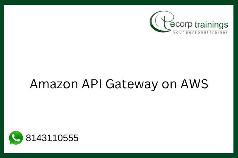 Amazon API Gateway on AWS Job Support