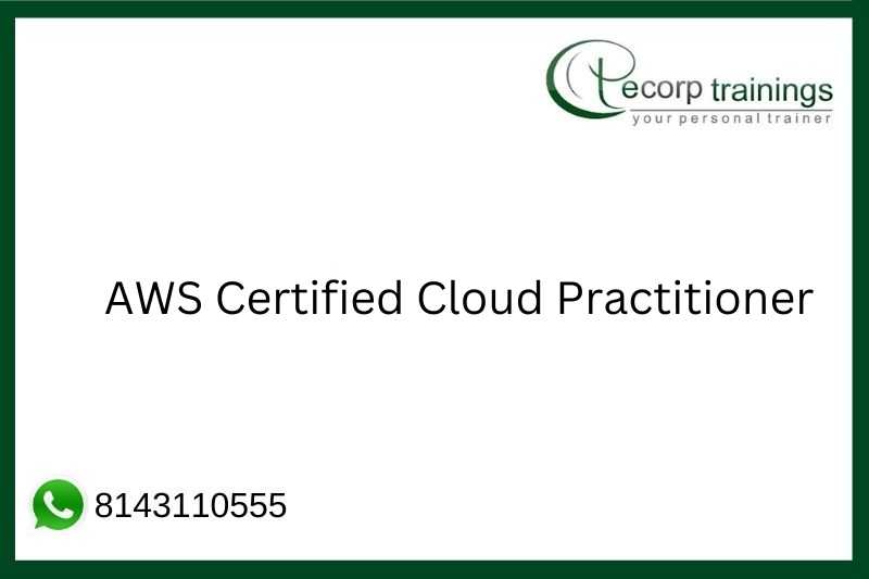 AWS Certified Cloud Practitioner Job Support
