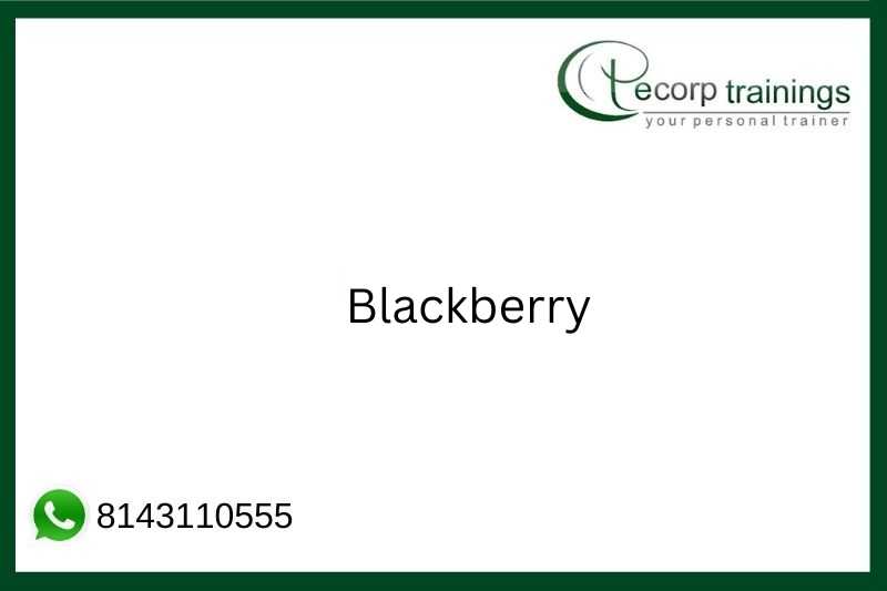Blackberry Job Support