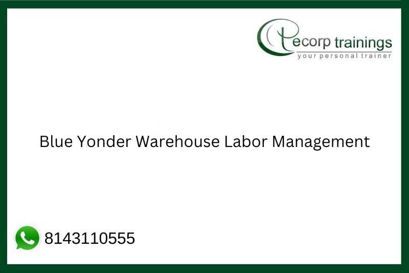Blue Yonder Warehouse Labor Management Job Support