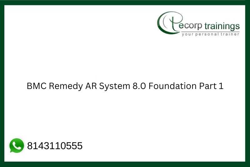 BMC Remedy AR System 8.0 Foundation Part 1 Job Support