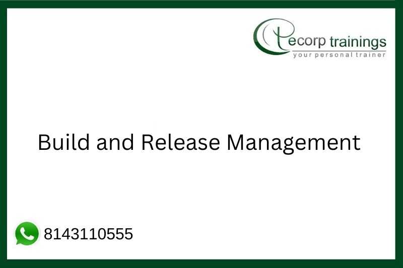Build and Release Management Job Support