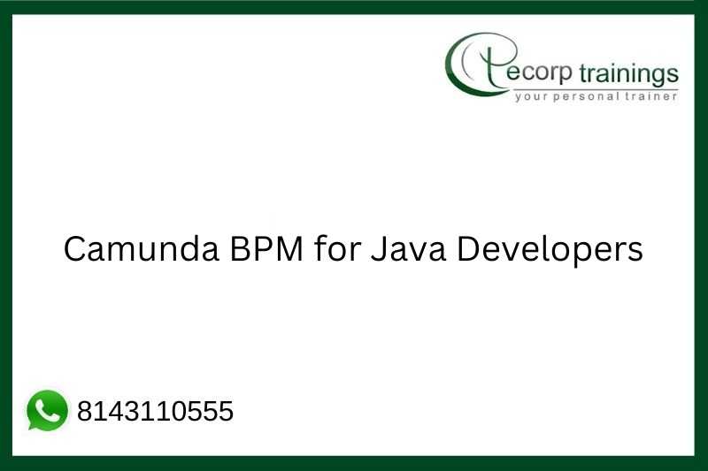Camunda BPM for Java Developers Job Support
