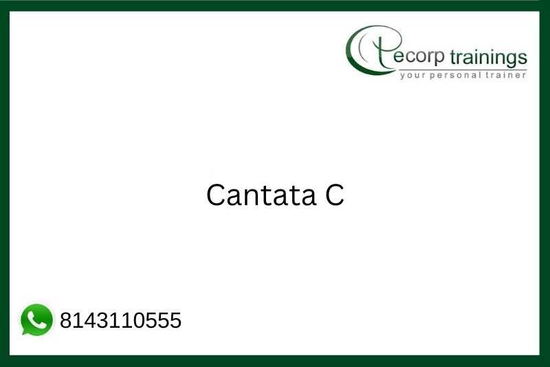 Cantata C Job Support