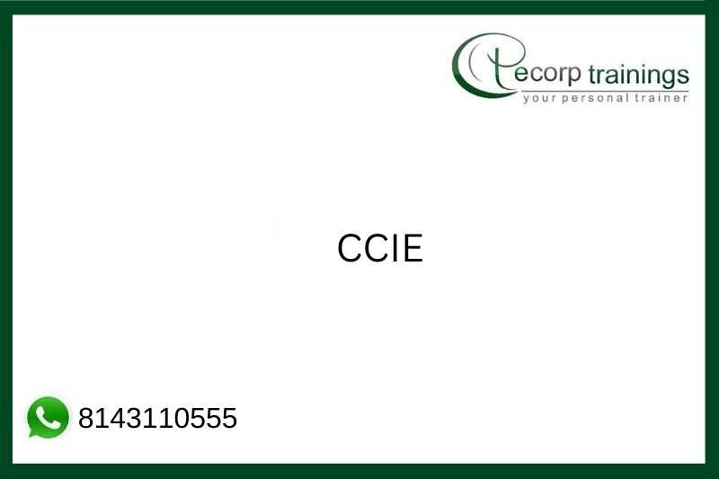 CCIE Job Support