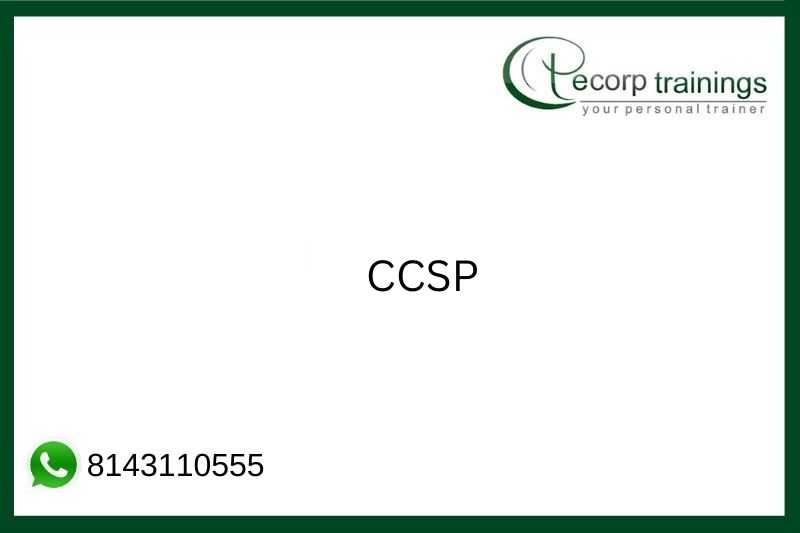 CCSP Job Support