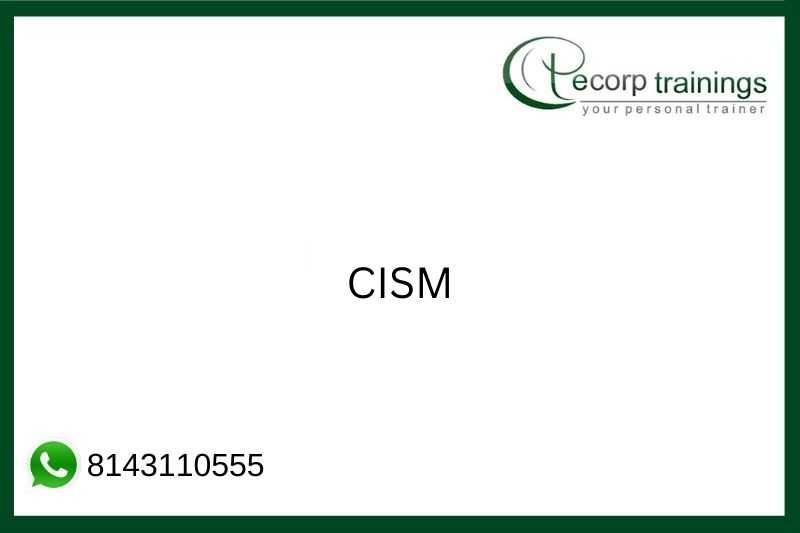 CISM Job Support