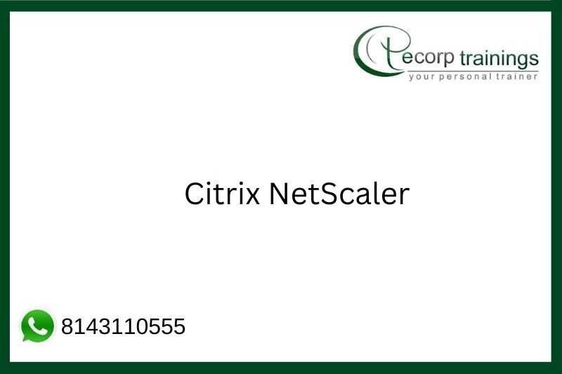 Citrix NetScaler Job Support