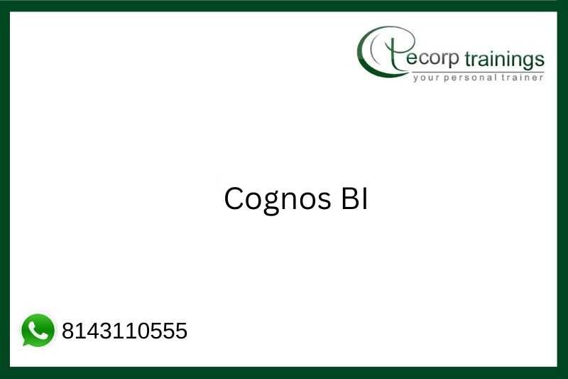 Cognos BI Job Support