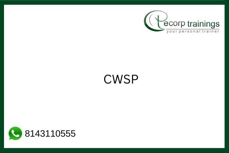 CWSP Job Support