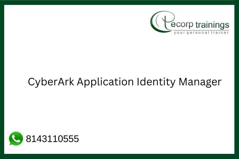 CyberArk Application Identity Manager Job Support