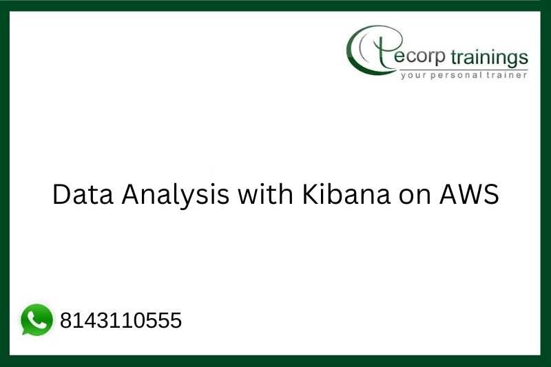 Data Analysis with Kibana on AWS Job Support