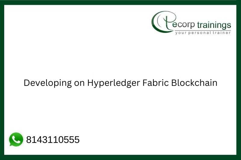 Developing on Hyperledger Fabric Blockchain Job Support
