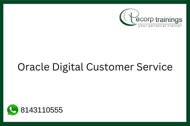 Oracle Digital Customer Service Job Support
