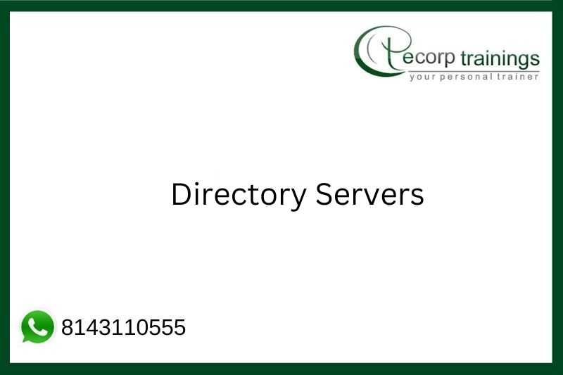 Directory Servers Job Support