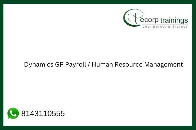 Dynamics GP Payroll / Human Resource Management Job Support