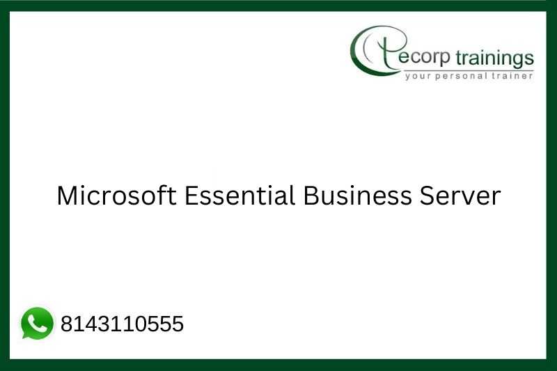 Microsoft Essential Business Server Job Support