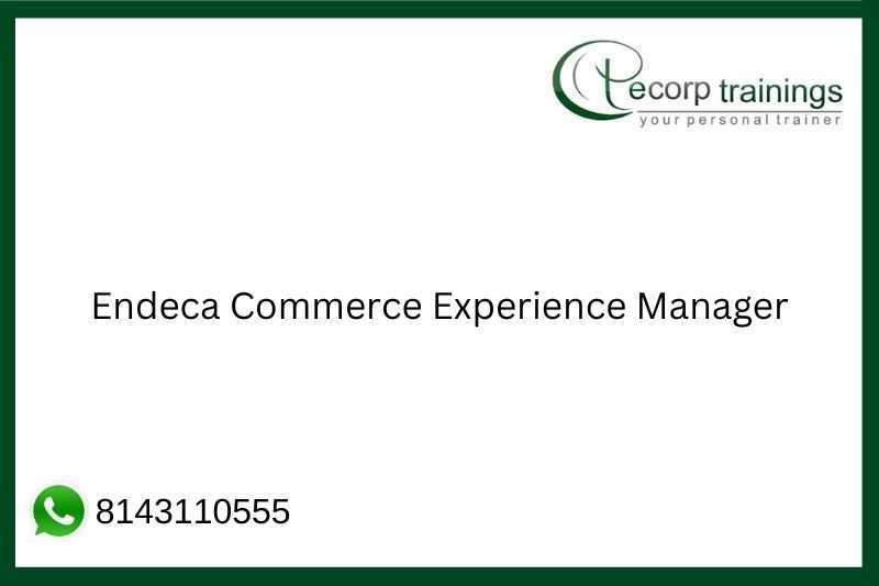 Endeca Commerce Experience Manager Job Support