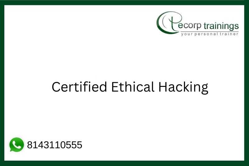 Certified Ethical Hacking Job Support
