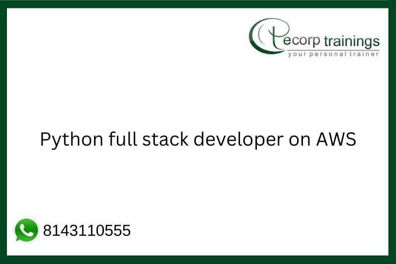 Python full stack developer on AWS Job Support