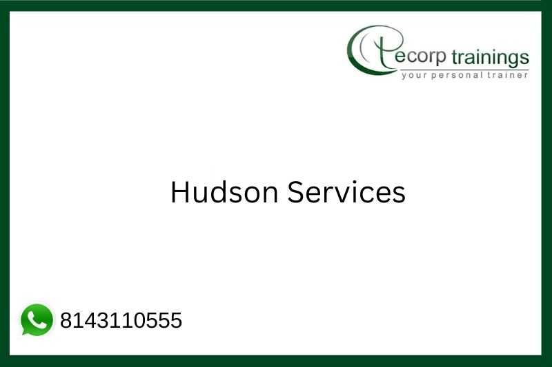 Hudson Services Job Support