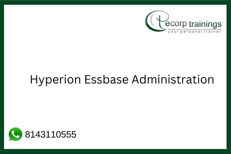 Hyperion Essbase Administration Job Support