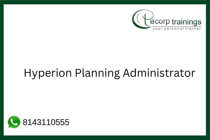 Hyperion Planning Administrator Job Support