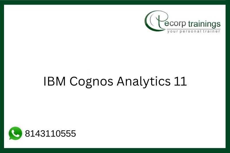 IBM Cognos Analytics 11 Job Support