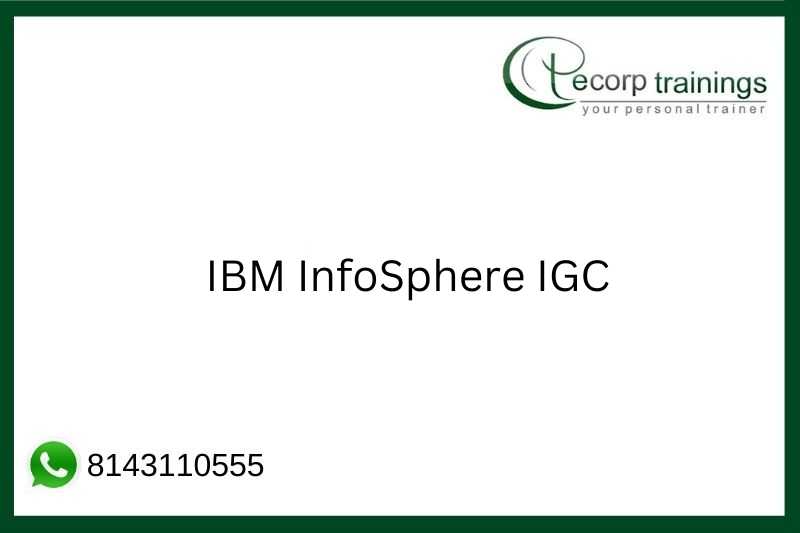 IBM InfoSphere IGC Job Support