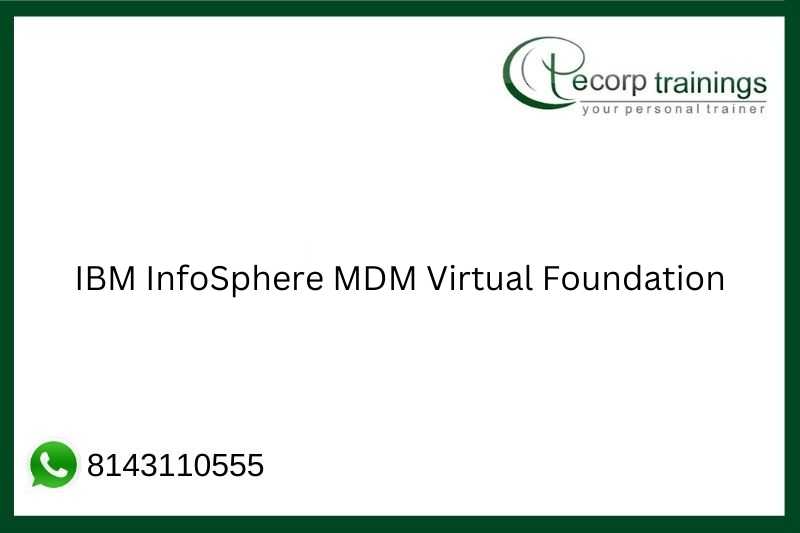 IBM InfoSphere MDM Virtual Foundation Job Support