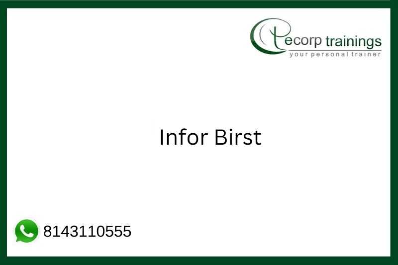 Infor Birst Job Support