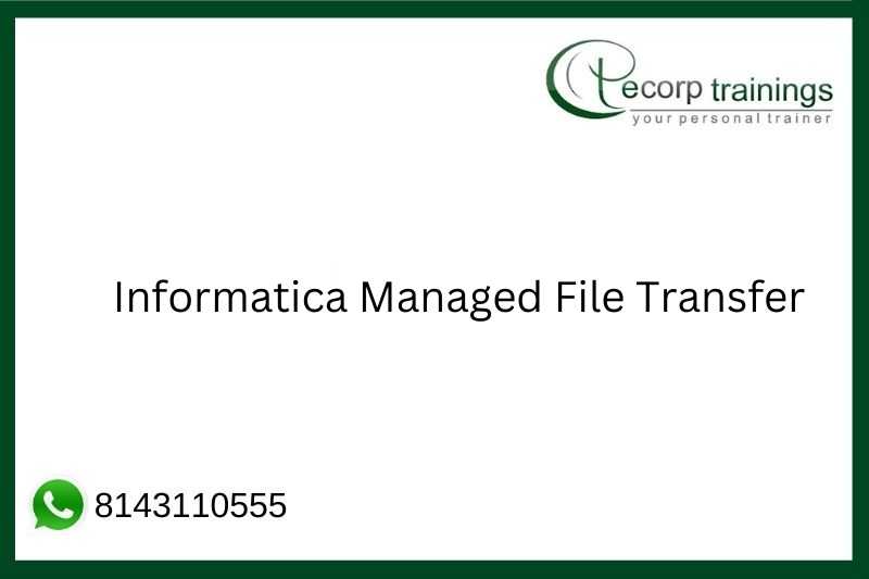 Informatica Managed File Transfer Job Support