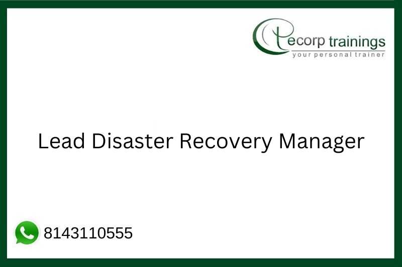 Lead Disaster Recovery Manager Job Support