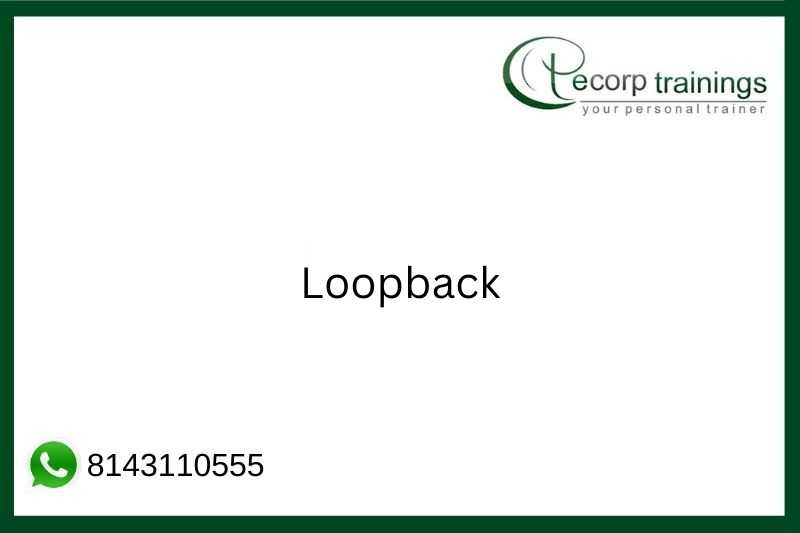Loopback Job Support