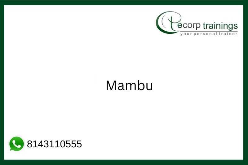 Mambu Job Support