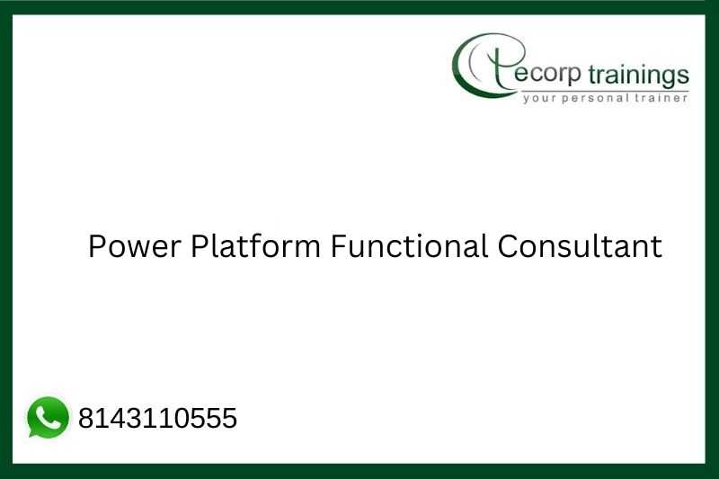 Power Platform Functional Consultant Job Support