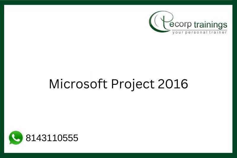 Microsoft Project 2016 Job Support