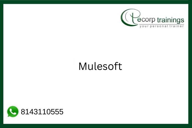 Mulesoft Job Support