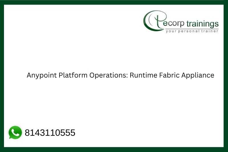 Anypoint Platform Operations: Runtime Fabric Appliance Job Support