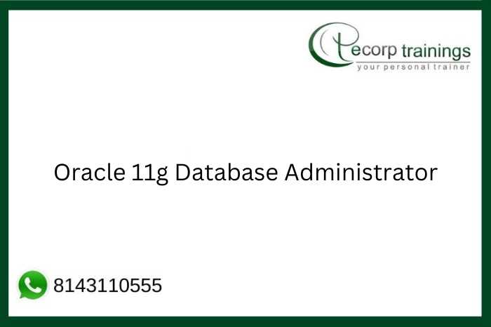 Oracle 11g Database Administrator  Job Support